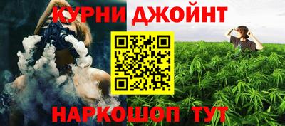 сатива Ливны