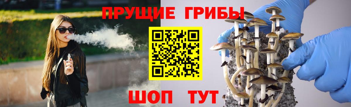 Домодедово  Псилоцибиновые грибы Cubensis  Галлюциногенные грибы Magic Shrooms  Вход с VPN 